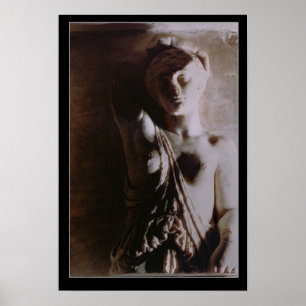 Afbeelding van een Amazone Poster