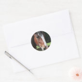 Afbeelding van een kwart paard Sticker (Envelop)