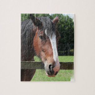 Afbeelding van een Quarter Horse Puzzle Legpuzzel