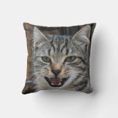 Afbeelding van een wild, opgewonden kitten, katten kussen (Achterkant)