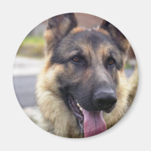 Afbeelding van German Shepherd Magnet Magneet
