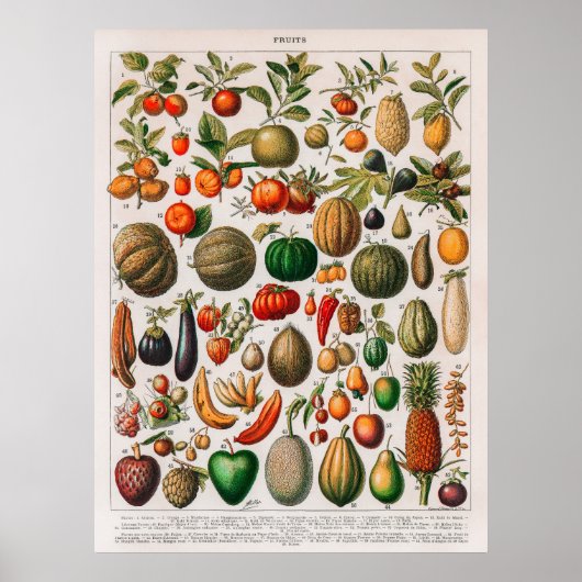 afbeelding van groenten en fruit poster (Voorkant)