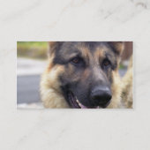 Afbeelding van het Duitse Visitekaartje Shepherd (Achterkant)