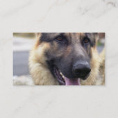 Afbeelding van het Duitse Visitekaartje Shepherd (Achterkant)