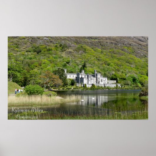 Afbeelding van het Ierse Poster (Voorkant)