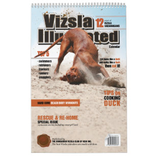 Afbeelding van het schema kalender