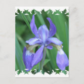 Afbeelding van Iris Briefkaart (Voorkant)