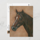 afbeelding van kastanjebruin  briefkaart (Voorkant / Achterkant)