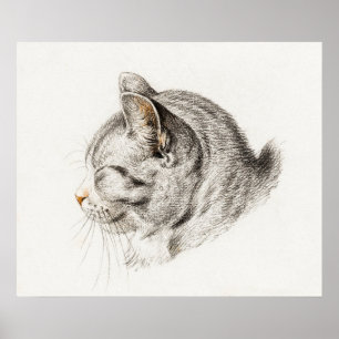  afbeelding van katten poster