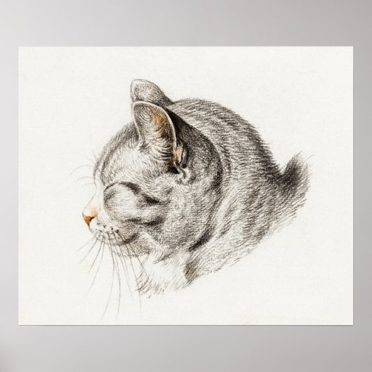 afbeelding van katten poster (Voorkant)