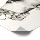  afbeelding van katten poster (Hoek)