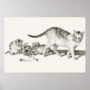 afbeelding van katten poster