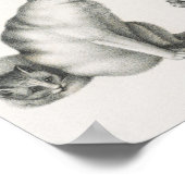  afbeelding van katten poster (Hoek)