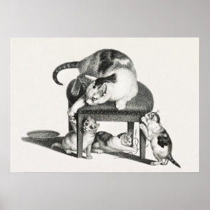 afbeelding van katten poster