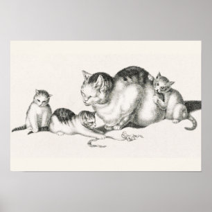 afbeelding van katten poster