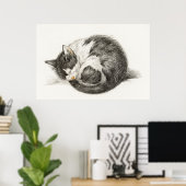  afbeelding van katten poster (Thuiskantoor)