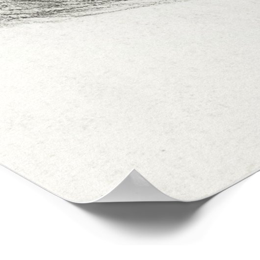  afbeelding van katten poster (Hoek)