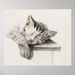 afbeelding van katten poster