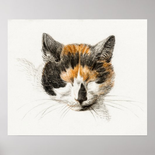 afbeelding van katten poster (Voorkant)