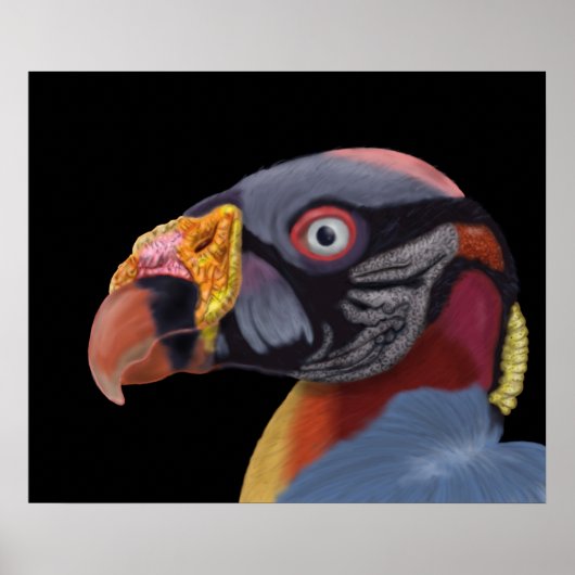 Afbeelding van King Vulture Poster (Voorkant)