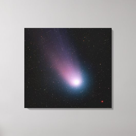 Afbeelding van komeet C/2001 Q4 (NEAT) Canvas Afdruk (Voorkant)