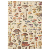  afbeelding van paddenstoelen klembord (Achterkant)