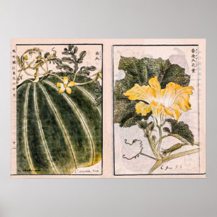 afbeelding van pompoen, bladeren en bloemen poster