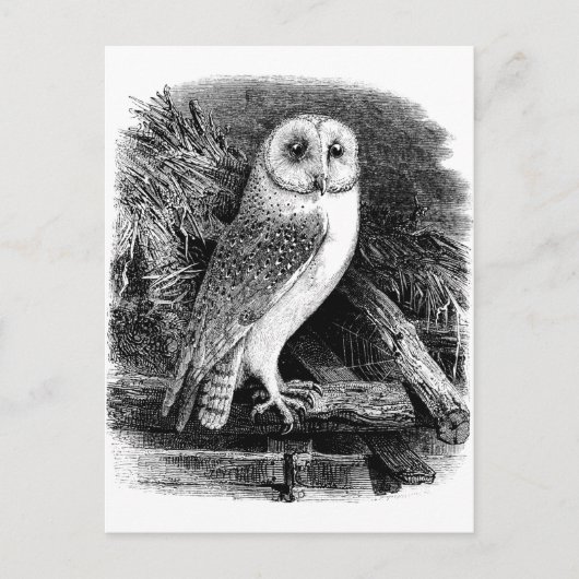  afbeelding van schuur briefkaart (Voorkant)