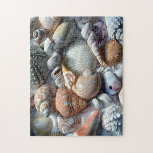 Afbeelding van Seashells Puzzle Legpuzzel