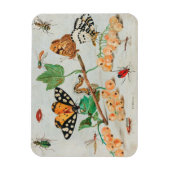  afbeelding van vlinders op bessen magneet (Verticaal)