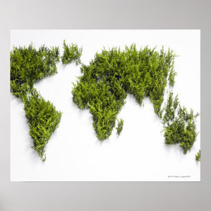 afbeelding van wereldkaart poster