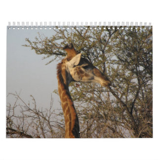 Afbeelding van Zuid-Afrika Kalender