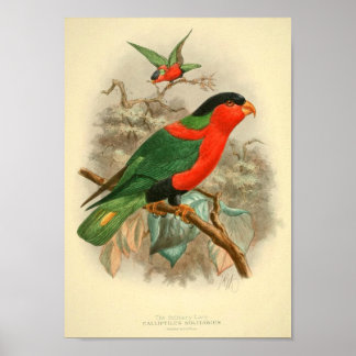 afbeelding vogelcadeaus posters wijnposters