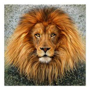 Afbeelding voor lionfotografie verf kunst perfect poster