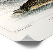 afbeelding zegel poster (Hoek)