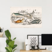  afbeelding zegel poster (Thuiskantoor)