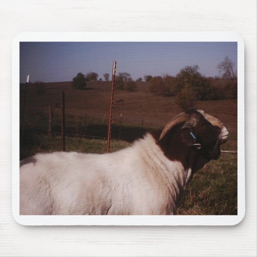 afbeeldingen024 muismat (Voorkant)