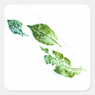 Afbeeldingen afkomstig van direct natuur blad prin vierkante sticker