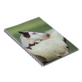 Afbeeldingen afspelen notitieboek (Rechterzijde)