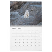 Afbeeldingen door Laveda 2024-2025 Kalender (Jan 2026)