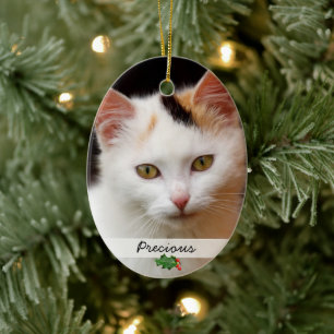 Afbeeldingen gezelschapsdieren, dubbelzijdig Ornam Keramisch Ornament