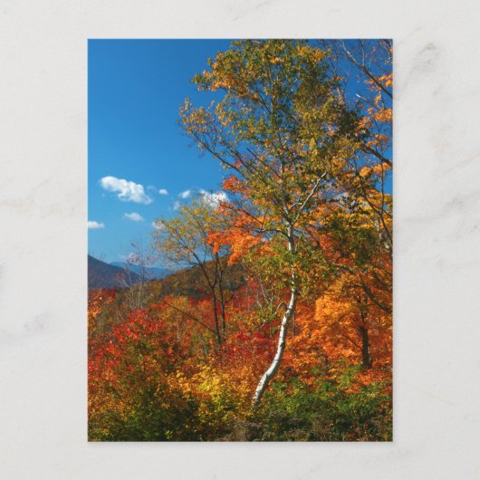 Afbeeldingen najaar briefkaart (Voorkant)