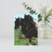 Afbeeldingen op het werk in pinto briefkaart (Staand voorkant)