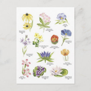 Afbeeldingen van botanische bloemen briefkaart