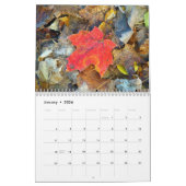 Afbeeldingen van de maïsportefeuille kalender (Jan 2026)