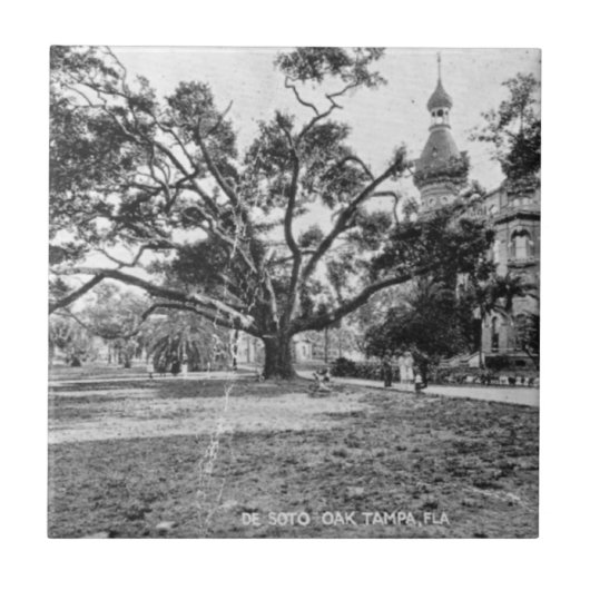  Afbeeldingen van Tampa Florida Tegeltje (Voorkant)