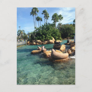 Afdichtingen en Zeeen leeuwen Briefkaart