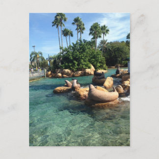 Afdichtingen en Zeeen leeuwen Briefkaart