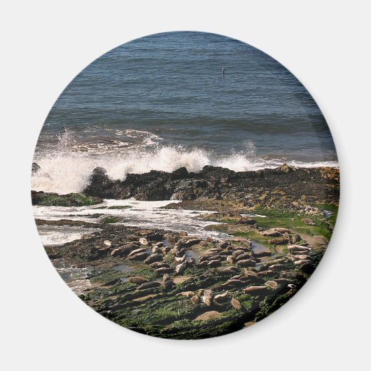 Afdichtingen Magneet (Voorkant)