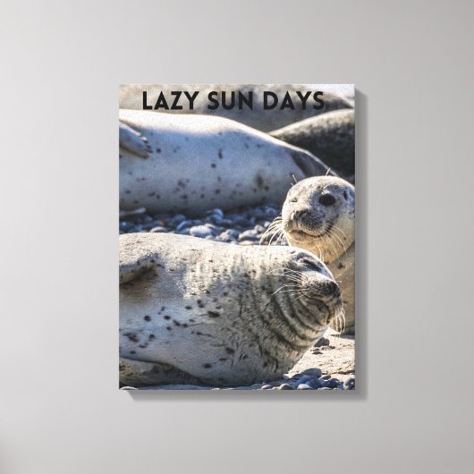 Afdichtingen Ontspannen op Zand en Pebbles Canvas  (Voorkant)
